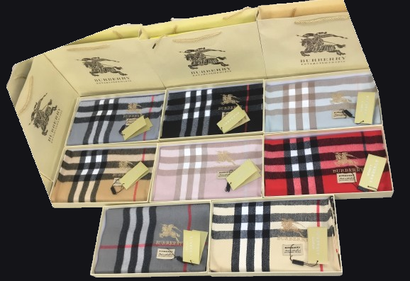 Burberry Scarf