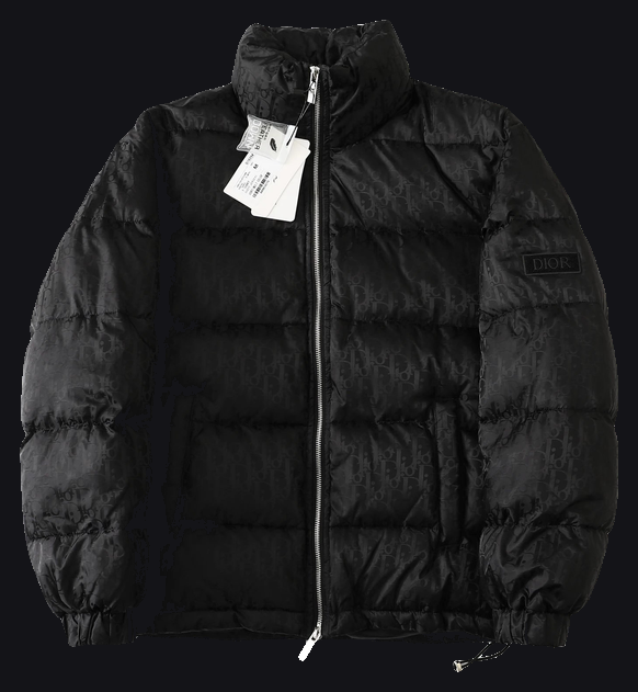 Dior Down Jacket