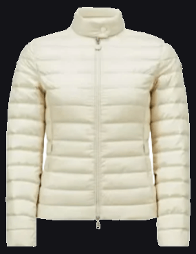 Moncler Down Jacket