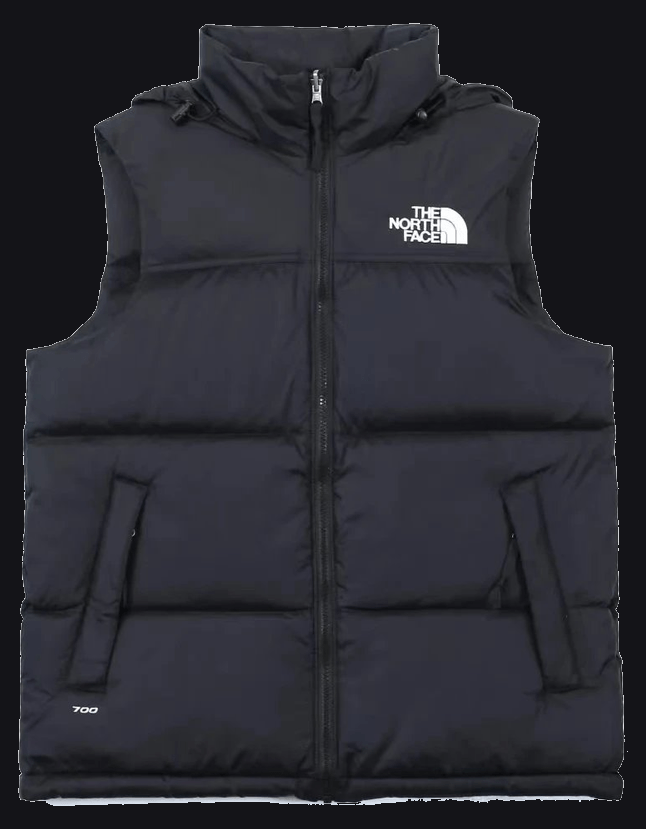 The North Face Vest