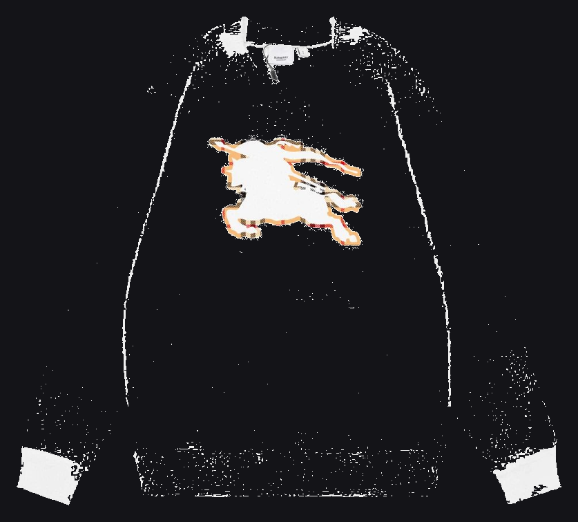 Burterry Hoodie