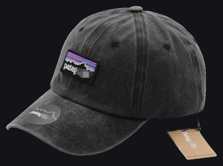 Patagonia Hat