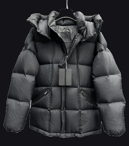 Moncler Down Jacket