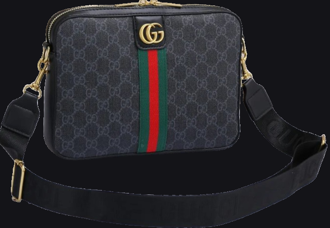 Fashion Bag