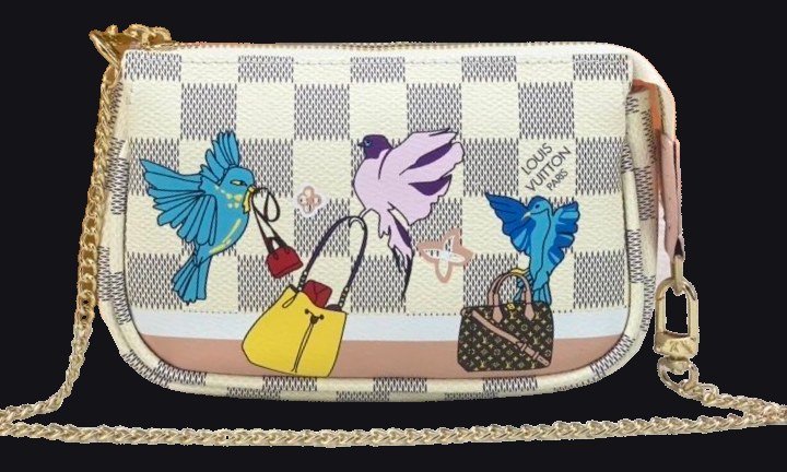 Louis Vuitton Bag