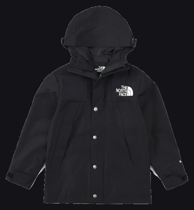 The North Face Jacket