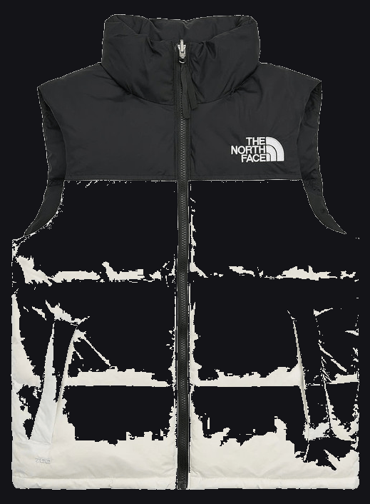 The North Face Vest