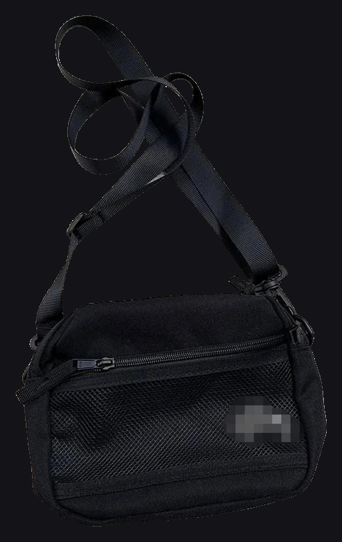 Stussy Bag